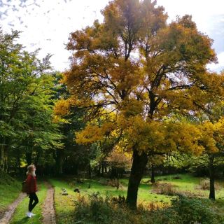 Beyond Etna: Discover the Nebrodi Area