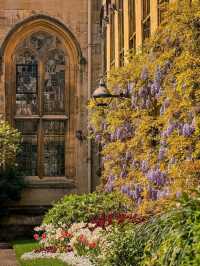 🌸 Wisteria Season in Oxford: A Dreamy Purple Veil over the City of Spires 🇬🇧✨