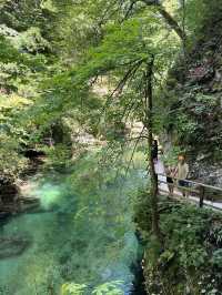 Wonderful Trip to Slovenia with old friends! 