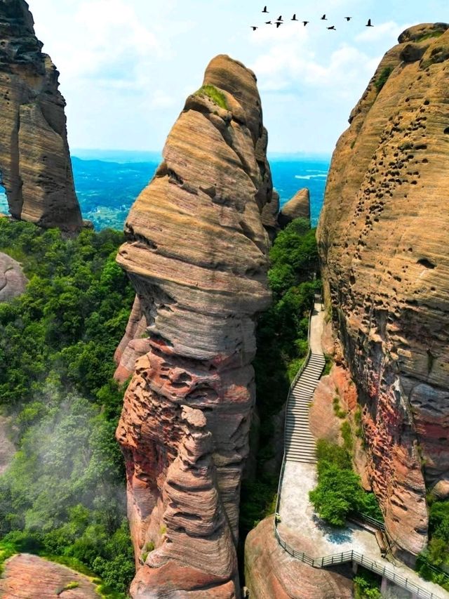 ⛰️ Guifeng Mountain – Nature’s Quiet Escape in Wuhan