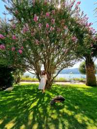Isola Madre: The Secret Garden of Lake Maggiore
