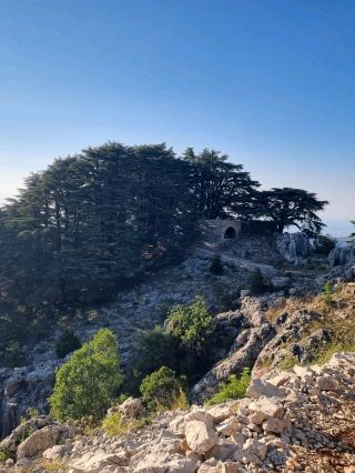 A love letter to Lebanon ❤️🇱🇧