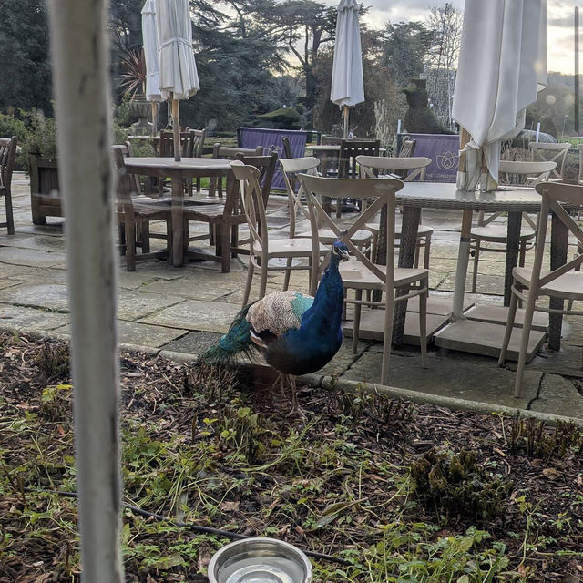 Warwick Castle Warwick Castle