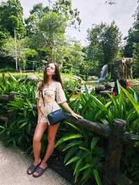 Budget safari is on Phu Quoc Island! 🌿🦁