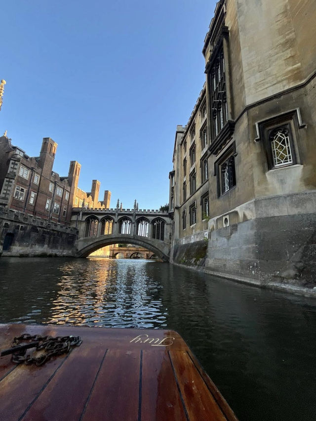 ✨ A gentle Cambridge moment by the River Cam 
