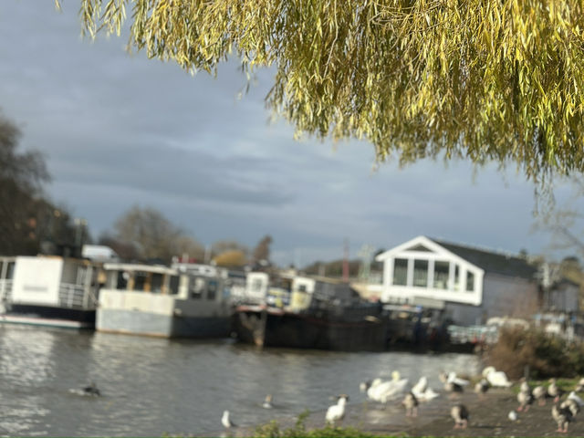 華麗轉身:荒廢船塢變身現代綠洲豪宅