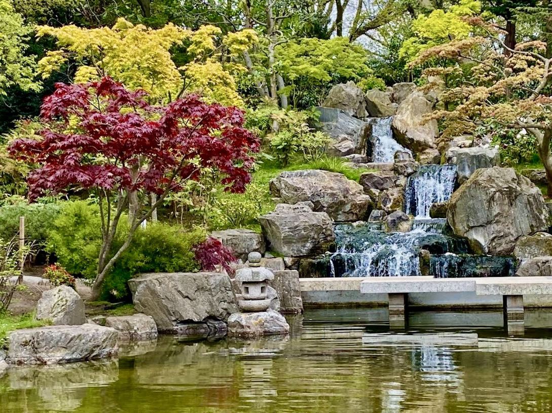 ロンドンの禅の聖域。静寂に包まれた京都庭園の美。 | Trip.com ロンドン