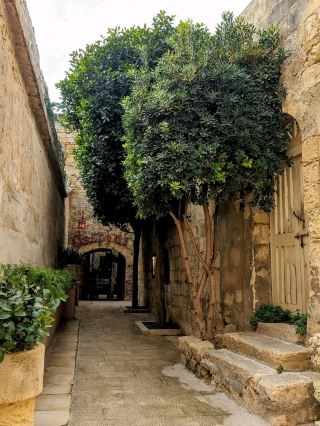 🇲🇹 Mdina, Malta: A Timeless Day in the Silent City 🏰