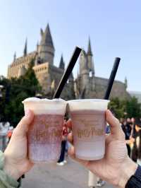 🎡 Universal Studios Beijing: магия кино в каждом моменте!