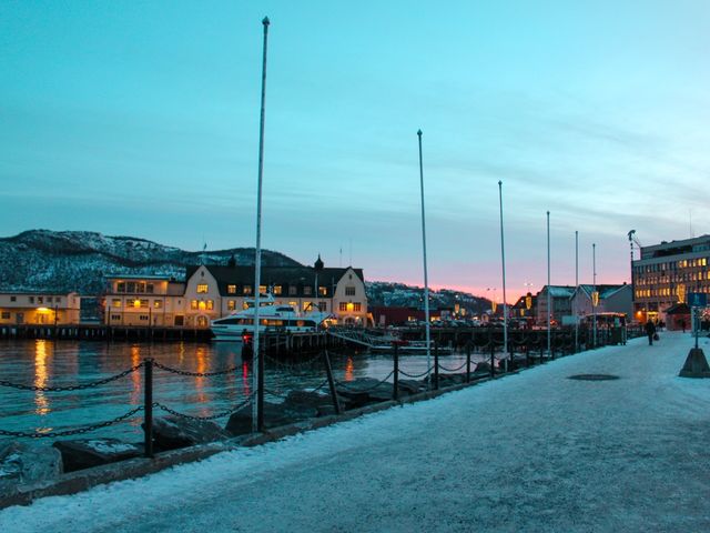Hug a Walrus in Narvik 