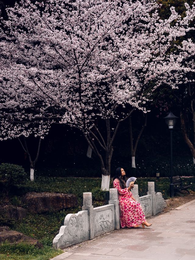 Chaoshan - A Lovely Scenic Spring Spot ⛰️🌸