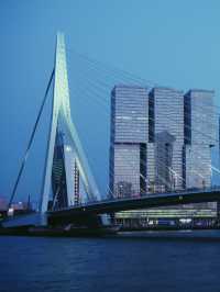 Swan | Erasmus Bridge