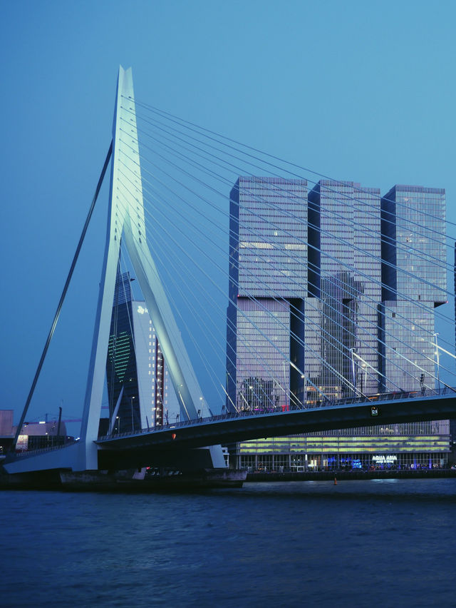 Swan | Erasmus Bridge