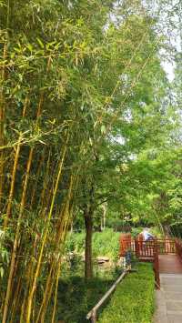 Pudong Jinqiao Park, the backyard of nearby residents, 30.