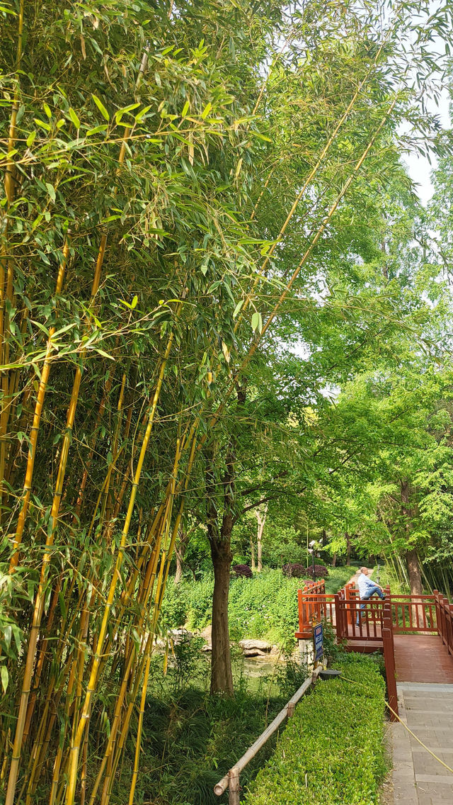 Pudong Jinqiao Park, the backyard of nearby residents, 30.