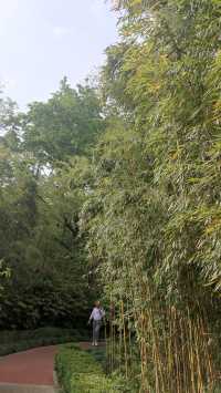 Pudong Jinqiao Park, the backyard of nearby residents, 30.