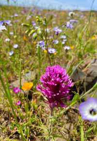 USA Outdoor Hiking | Sunol Town, San Francisco