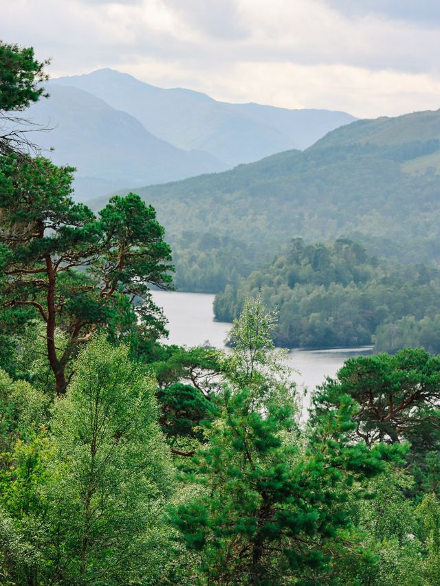 Stunning Glen Affric, Scotland🏴󠁧󠁢󠁳󠁣󠁴󠁿🌲