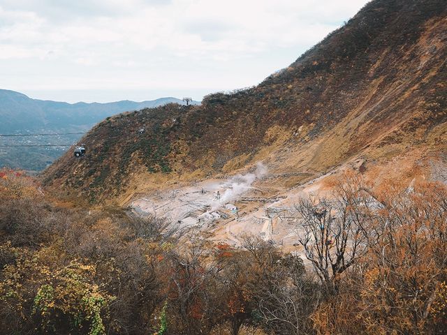 遊箱根🇯🇵大涌谷