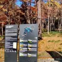 打卡韓國扶蘇山城