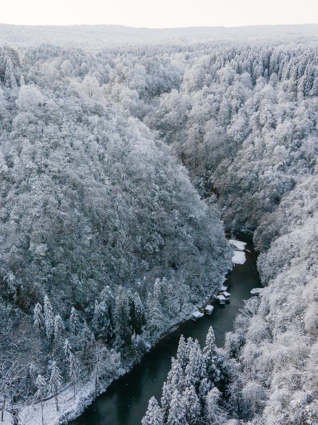 從成都出發2小時，這個冬天請不要再錯過這個寶藏耍雪地