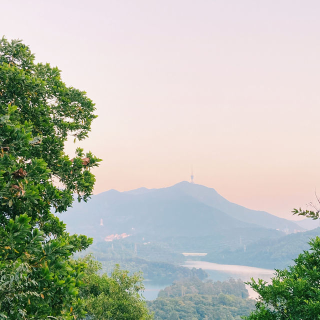 深圳-淘金山綠道，遇見驚喜