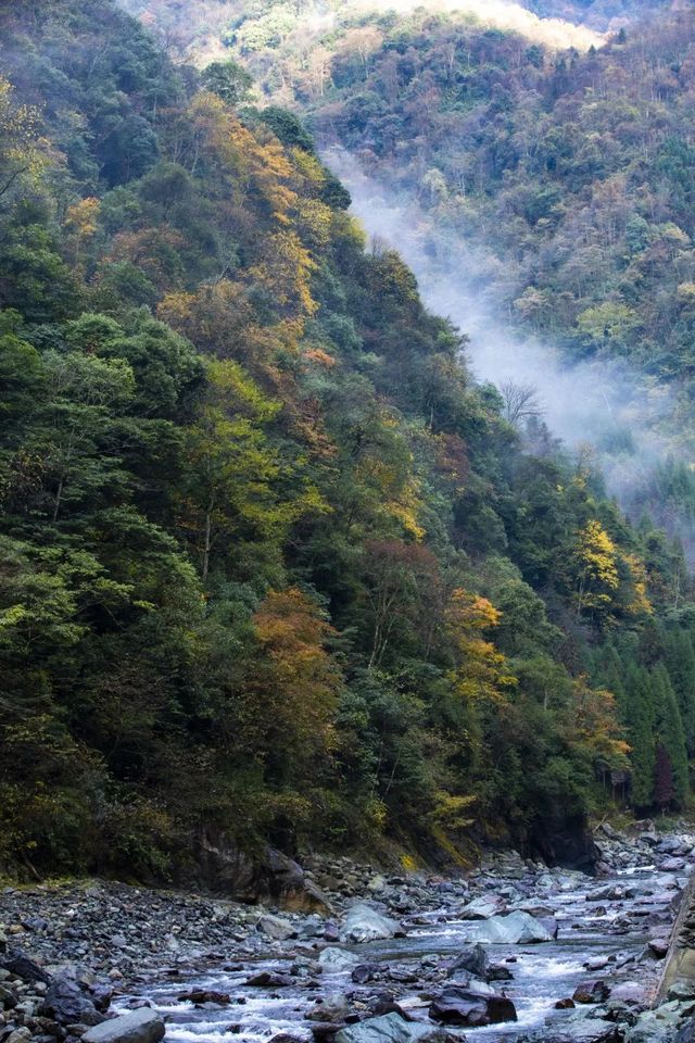 芦山的大深山裡的彩林秘境：大川河
