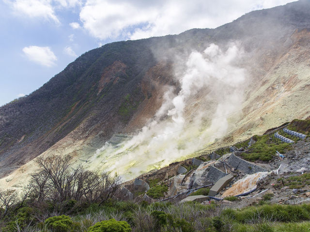 Unveiling Hakone's Natural Elegance: A Majestic Odyssey! 🌲✨