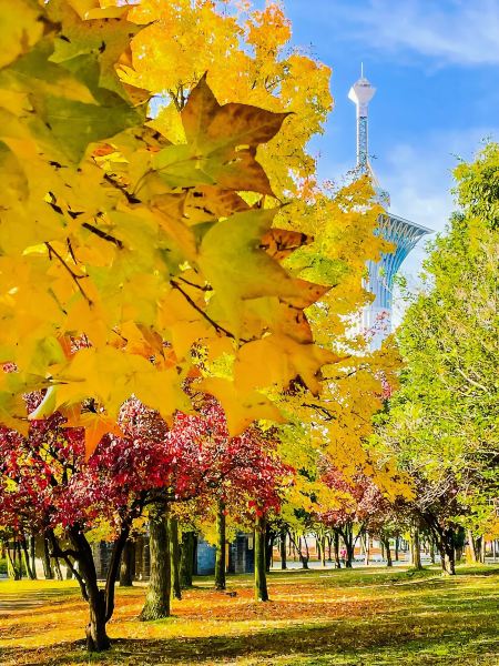 The stunning Tsurumi Ryokuchi Park | Trip.com Moriguchi