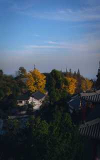 杭州徑山寺半日遊：冬日陽光下的寧靜與美麗