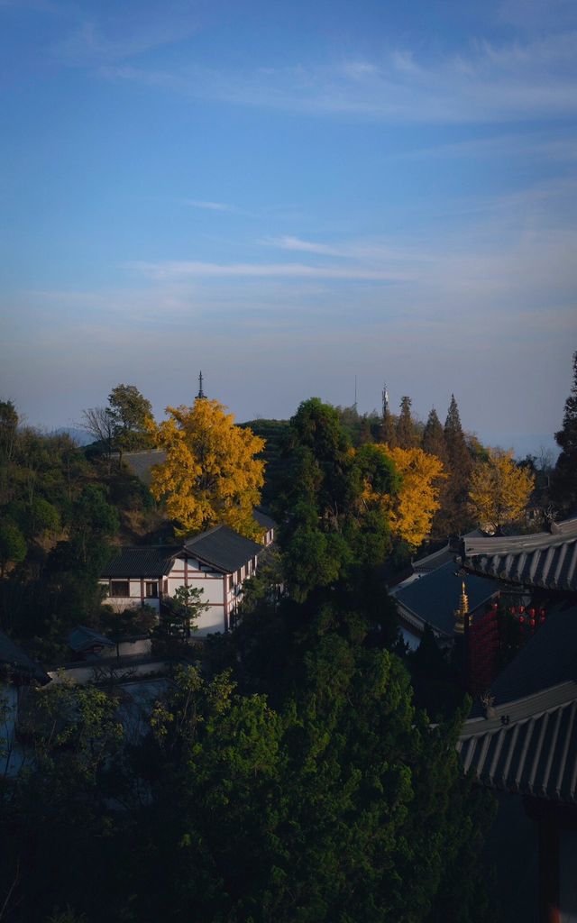 杭州徑山寺半日遊：冬日陽光下的寧靜與美麗