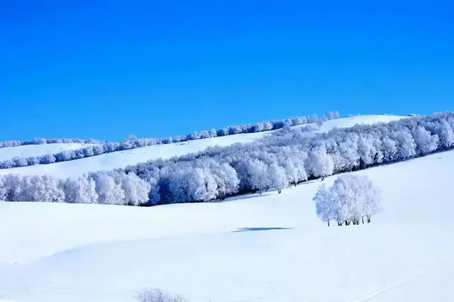 有一種思和遠方，簡稱烏蘭布統的冬天