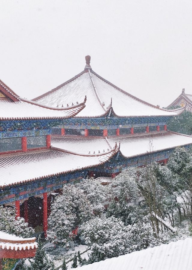 在合肥，總要去開福寺看一場初雪吧