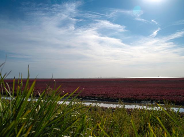 营口周邊遊|海邊不看海！海灘更壯觀