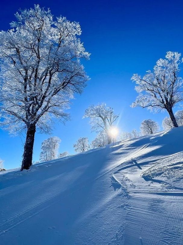 人少好滑——野澤溫泉滑雪場