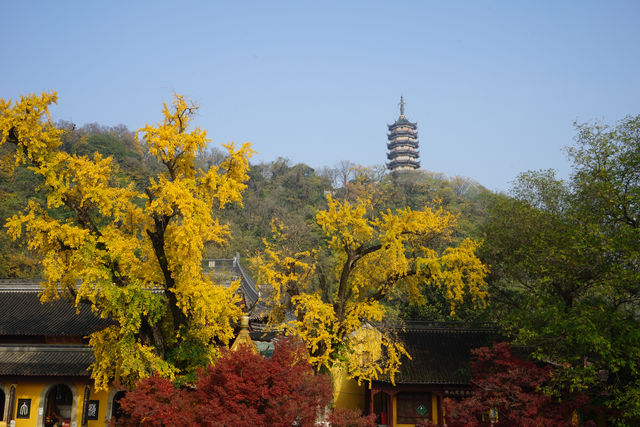 焦山，因其碧波環抱，滿山蒼翠，宛然碧玉浮江，