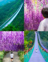 世界上面積最大的雙層玻璃觀景平台