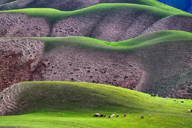“일리 절경: 서역 변경의 신비한 정원을 찾아서”