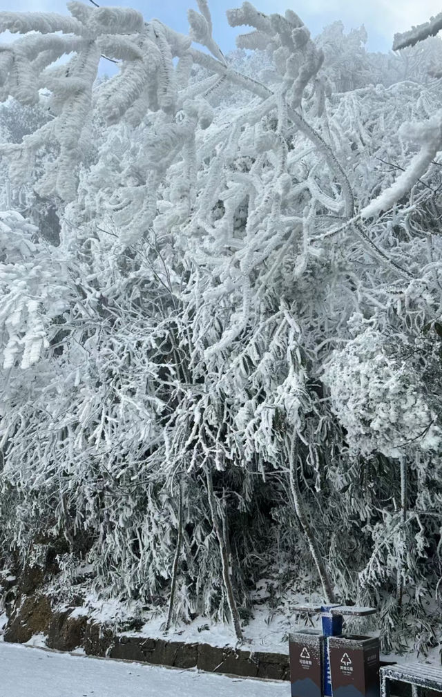 就在下週 廣州周邊看雪｜保姆級攻略