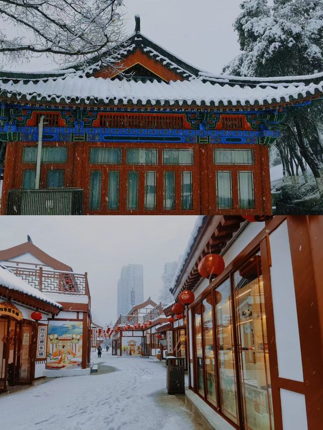 西安的這場雪下進了我的心坎裡