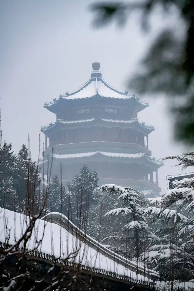 The snow of the Summer Palace| is a tranquil beauty, the snow scene of the Summer Palace is like a poem and a painting!