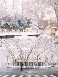 南京土著私藏景點｜下雪的頤和路適合拍哪裡