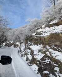 這個冬天總要來看看廬山的雪