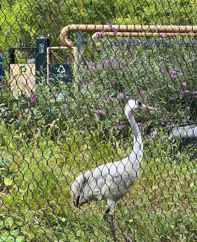 武漢動物園去了哇塞⊙ω⊙