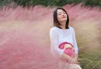 粉色深圳 | 7000m粉黛花海，浪漫秋日童話