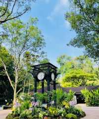 新加坡首個被列為的世界遺產｜新加坡植物園