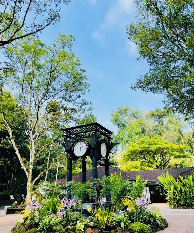 新加坡首個被列為的世界遺產｜新加坡植物園