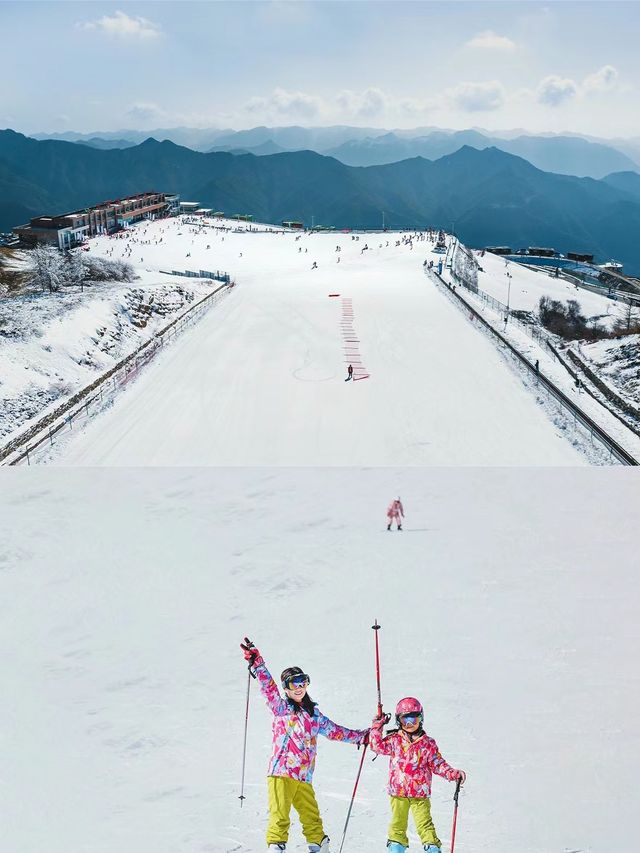 不是東北去不起，而是宜昌更有性價比