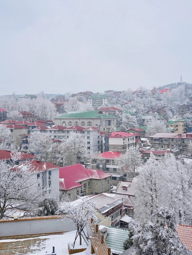 剛從廬山回來！三天兩夜追雪攻略