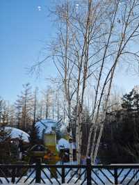 長白山北坡皇冠溫泉酒店四日遊